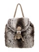 Fendi Mink Backpack