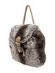 Fendi Mink Backpack