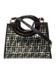 Fendi Zucca FF Runaway Small
