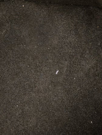 Fendi Zucca FF Mon Tresor 2024