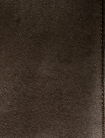 Fendi Zucca FF Peekaboo X-Lite