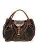 Fendi Zucca FF Spy