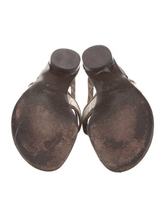 Fendi Canvas Animal Print Slides