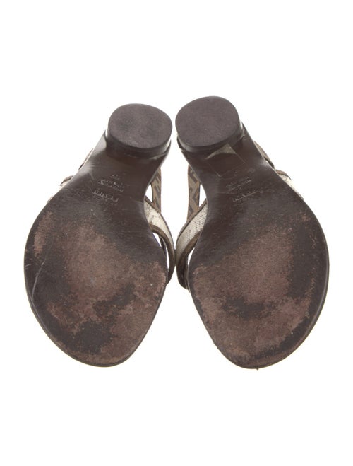 Fendi Canvas Animal Print Slides