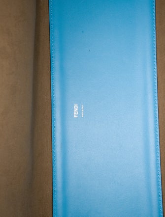 Fendi Leather Sunshine Medium