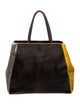 Fendi Ponyhair 2Jours Large 2023