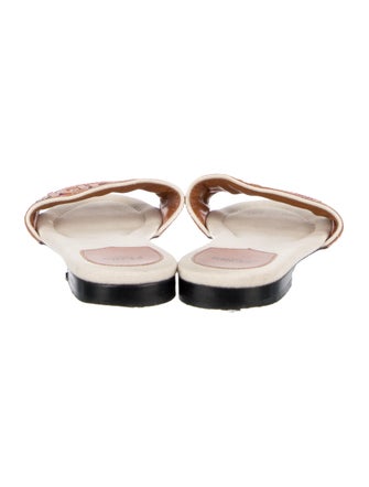 Fendi Printed Embroidered Accent Slides
