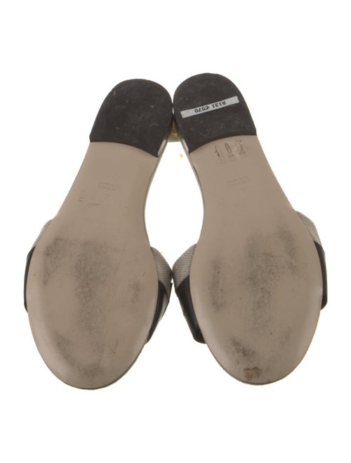 Fendi Canvas Graphic Print Slides