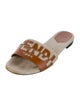 Fendi Canvas Printed Slides
