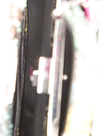 Fendi Python Minaudière