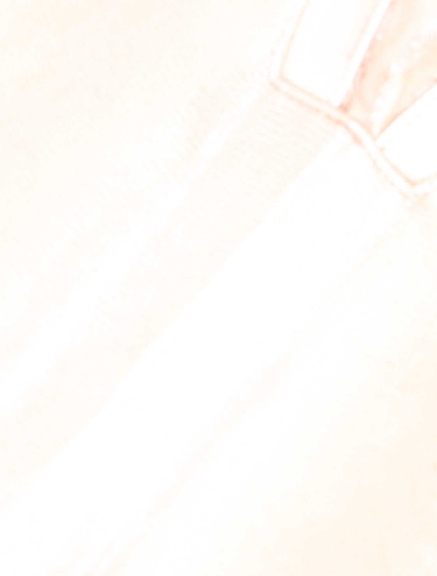 Finesse La Model Crystal Minaudière