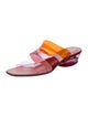 Salvatore Ferragamo PVC Slides