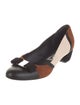 Ferragamo Vara Bow Accent Suede Pumps
