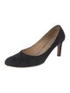 Ferragamo Suede Pumps