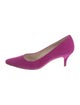 Ferragamo Suede Leather Trim Embellishment Pumps