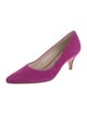 Ferragamo Suede Leather Trim Embellishment Pumps