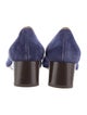 Ferragamo Suede Pumps