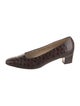 Ferragamo Crocodile Pumps