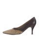 Ferragamo Suede Pumps