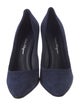 Ferragamo Suede Pumps