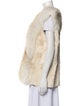 Fur Vest