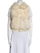Fur Vest