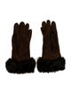 Fur Suede Gloves