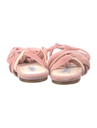 Gabriela Hearst Velvet Floral Print T-Strap Sandals