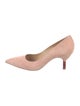 Gabriela Hearst Suede Pumps