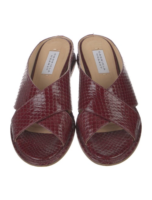 Gabriela Hearst Snakeskin Leather Trim Embellishment Slides