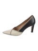 Gabriela Hearst Leather Pumps