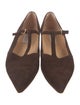 Gabriela Hearst Suede Mary Jane Flats