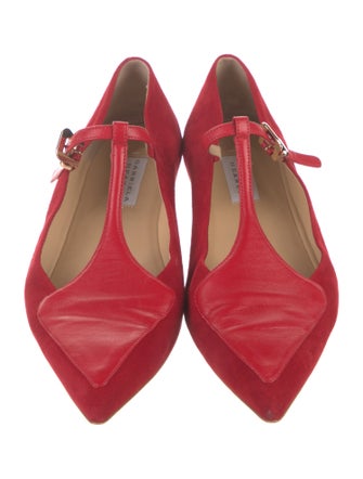 Gabriela Hearst Suede Mary Jane Flats