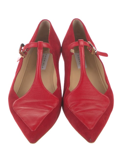 Gabriela Hearst Suede Mary Jane Flats