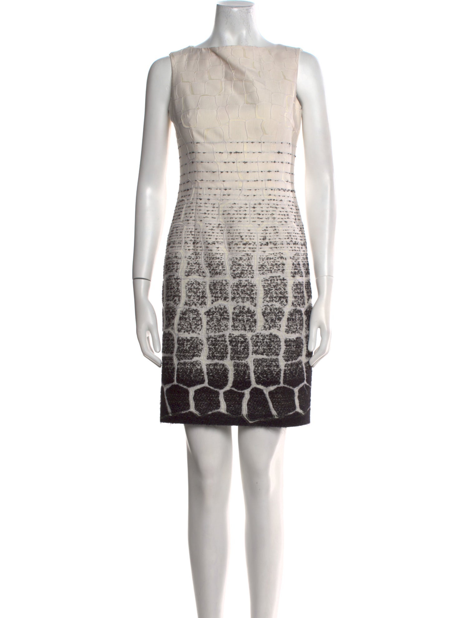 Giambattista Valli Printed Mini Dress