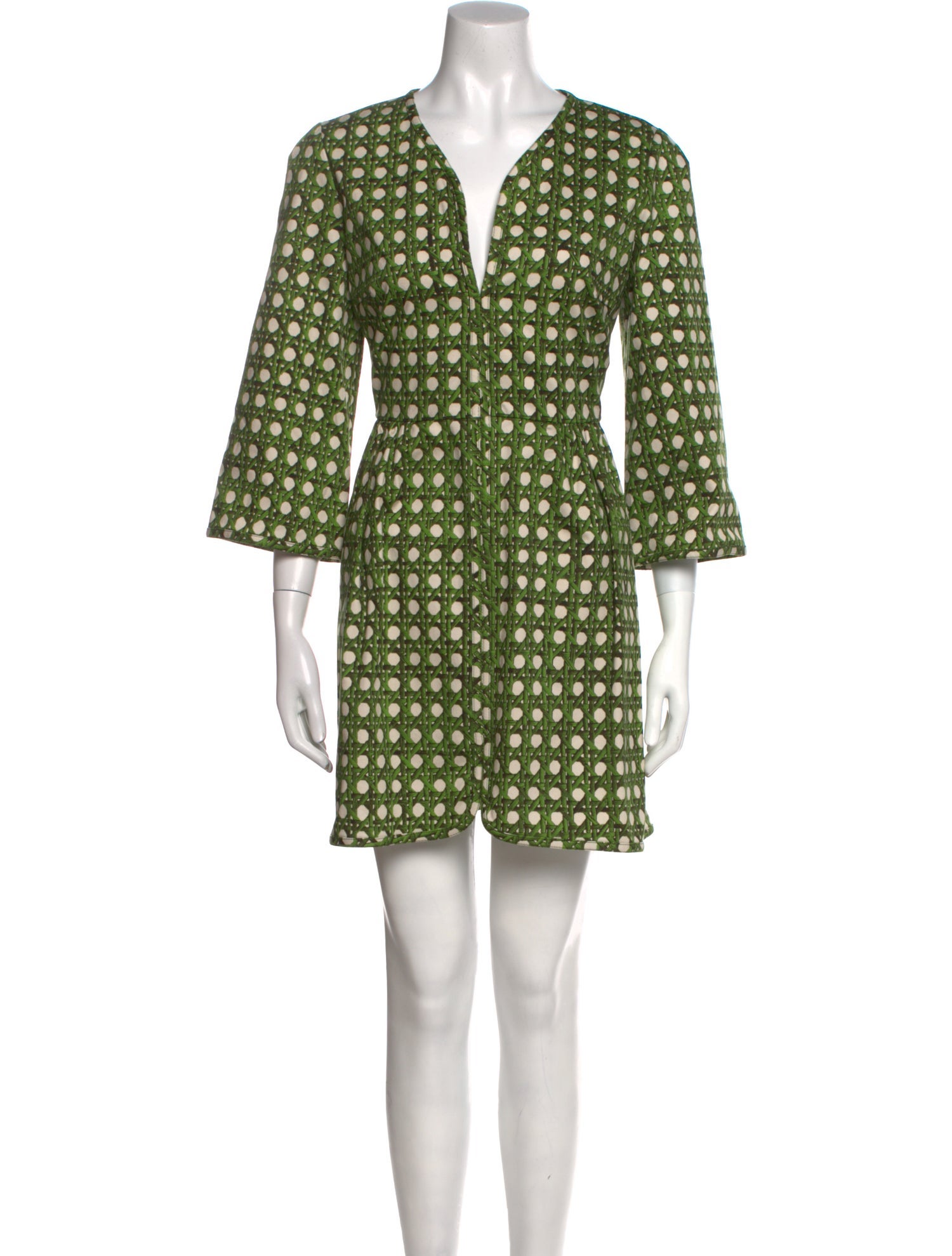 Giambattista Valli Printed Mini Dress