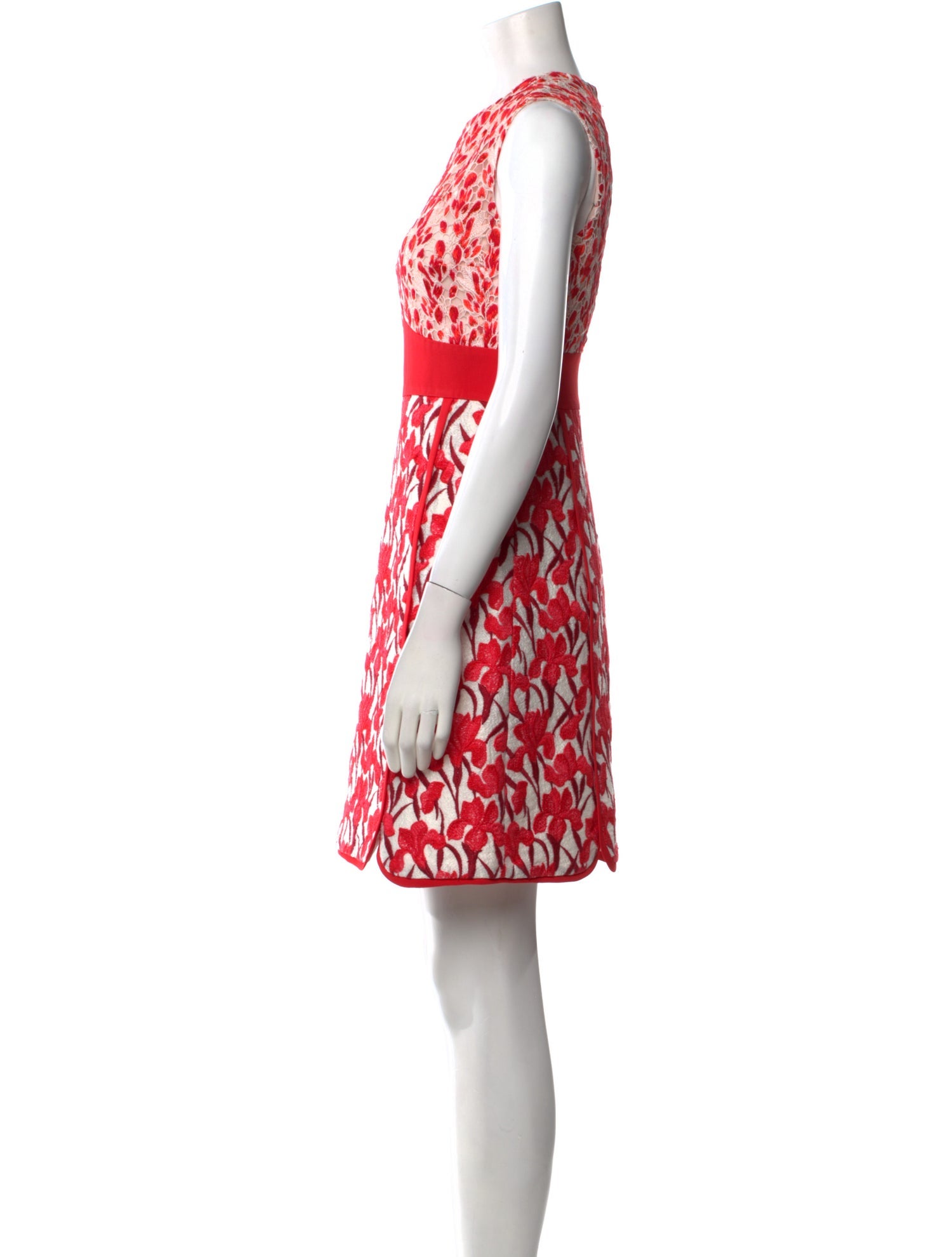 Giambattista Valli Printed Mini Dress