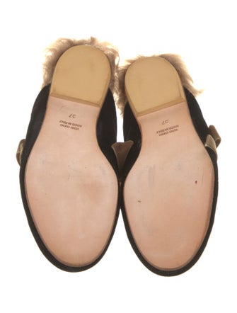 Gia Couture Velvet Floral Print Mules