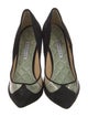 Giannico Suede T-Strap Pumps