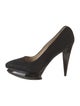 Gianfranco Ferre Suede Pumps