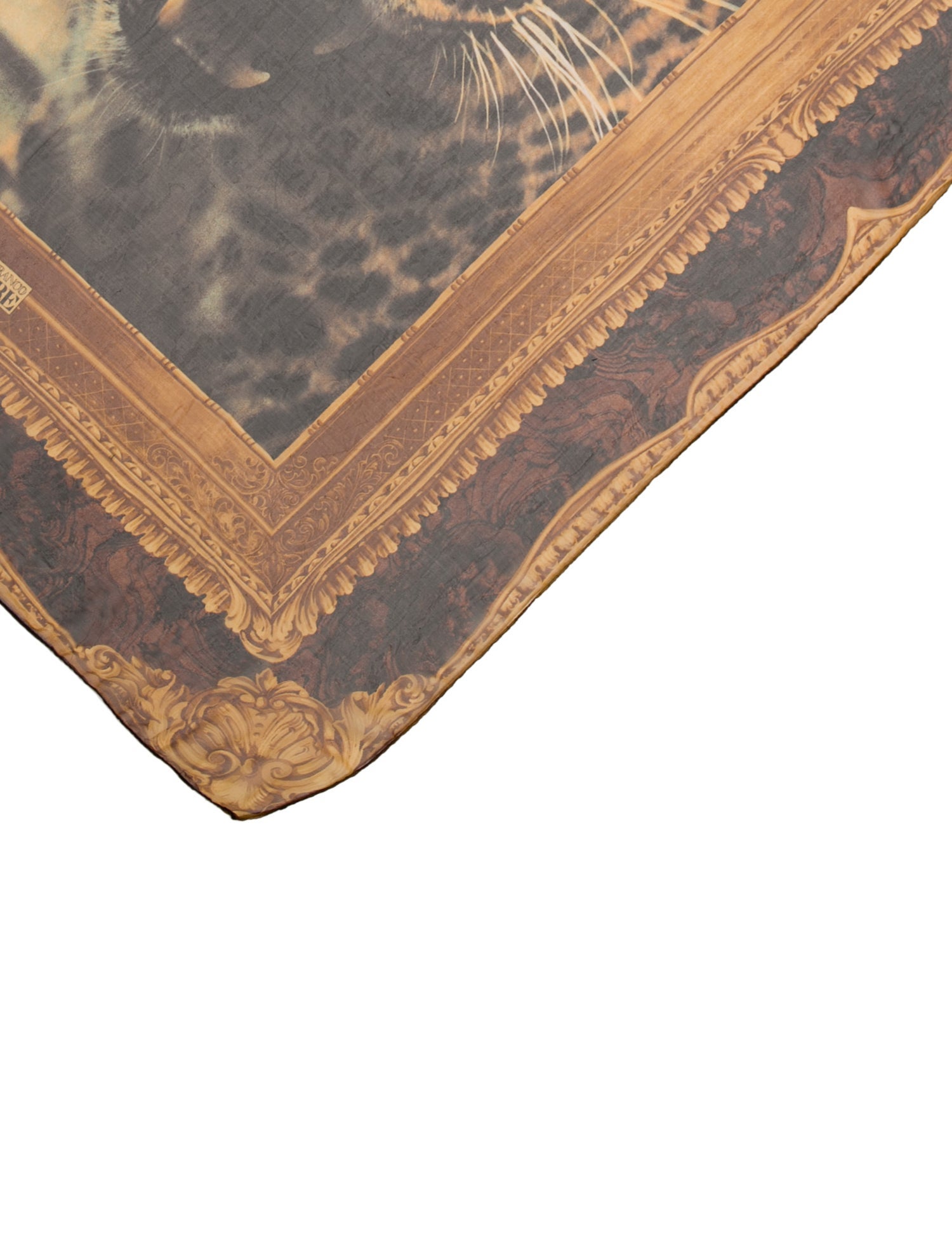 Gianfranco Ferre Silk Printed Scarf