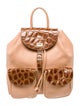 Gianfranco Ferre Leather Backpack