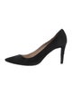 Giorgio Armani Suede Pumps