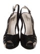 Giorgio Armani Suede Animal Print Slingback Pumps