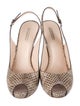Giorgio Armani Snakeskin Animal Print Slingback Pumps