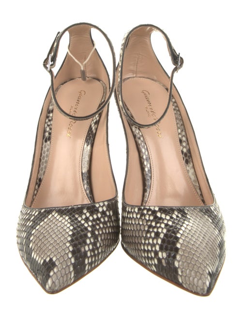 Gianvito Rossi Python Animal Print Pumps