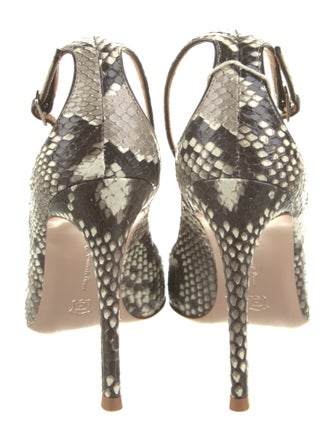 Gianvito Rossi Python Animal Print Pumps