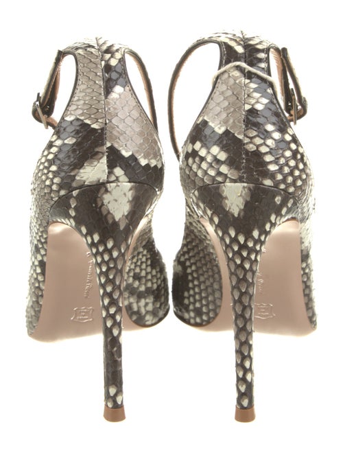 Gianvito Rossi Python Animal Print Pumps
