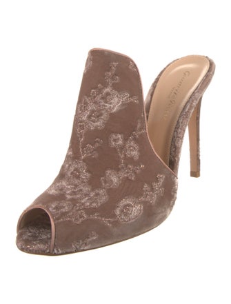 Gianvito Rossi Velvet Floral Print Slides