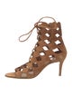 Gianvito Rossi Suede Mesh Accents Gladiator Sandals
